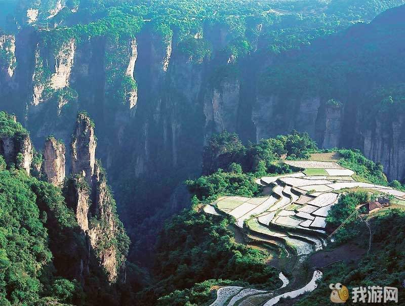 田园.jpg