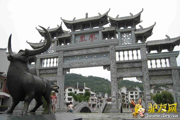 凤凰1.jpg